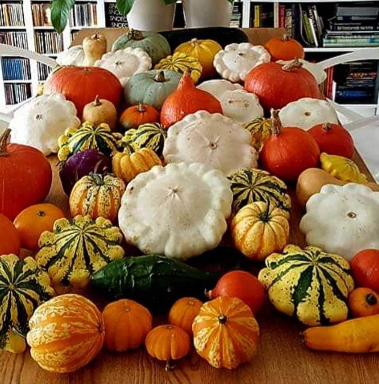 Ирина МИФТАХОВА  От одного вида такой тыквы разыграется аппетит.
