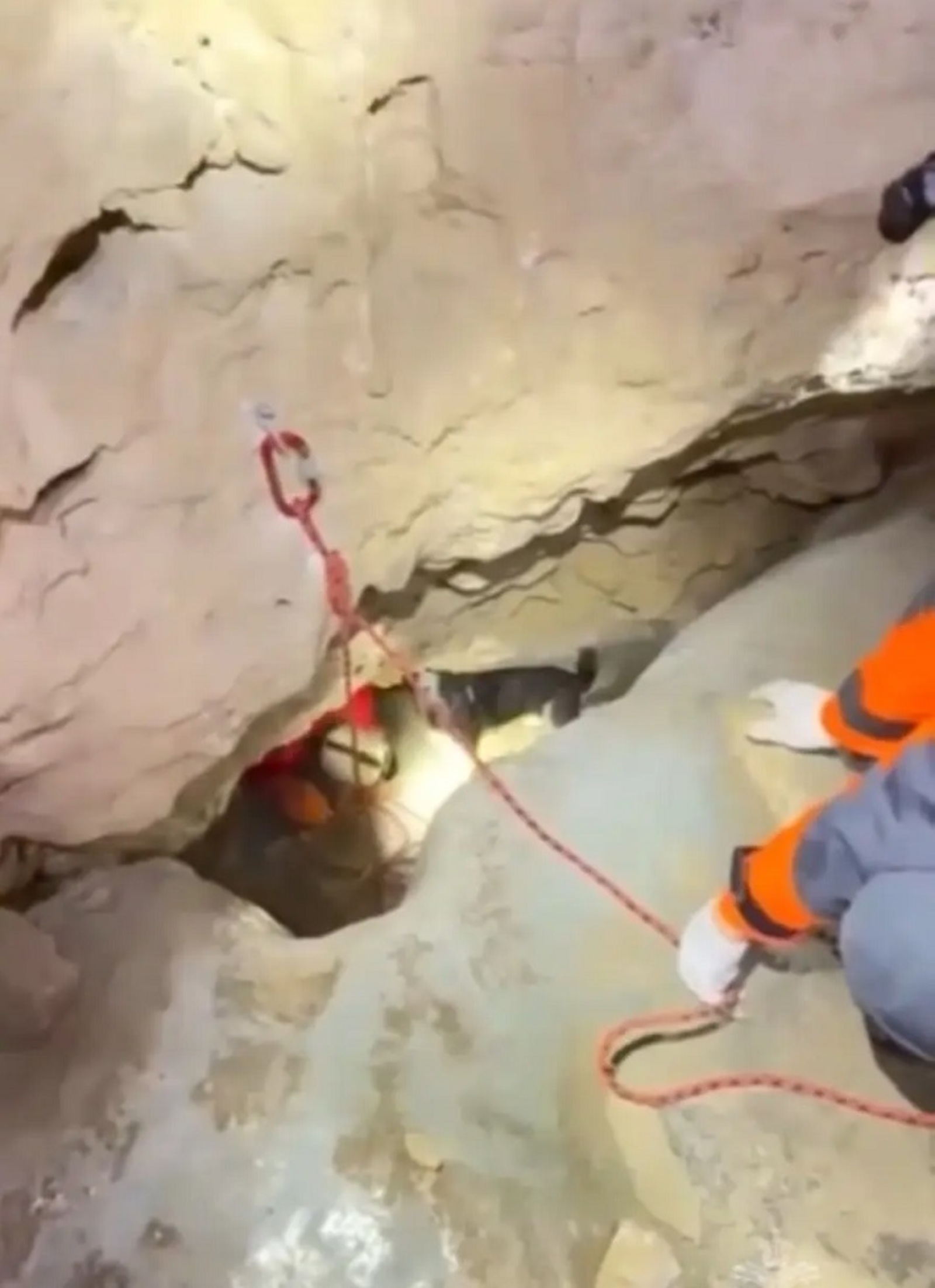 В Башкирии спасли пса, упавшего в расщелину Киндерлинской пещеры