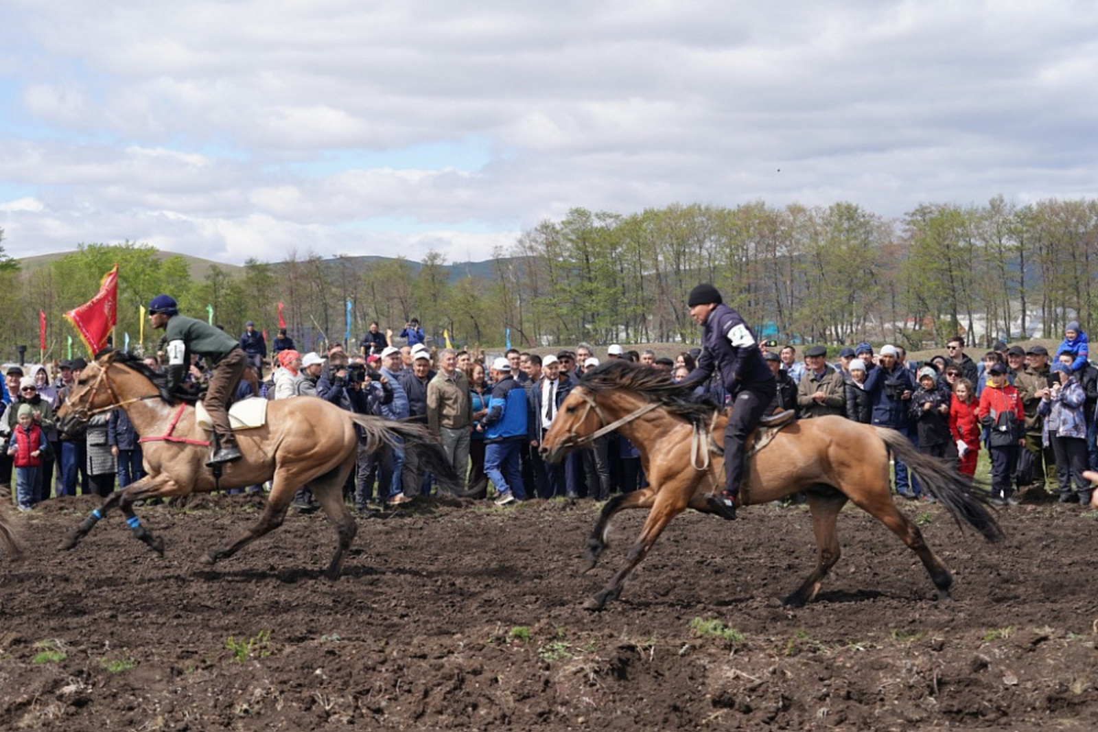 В Башкирии будут проводить ежегодный фестиваль лошади