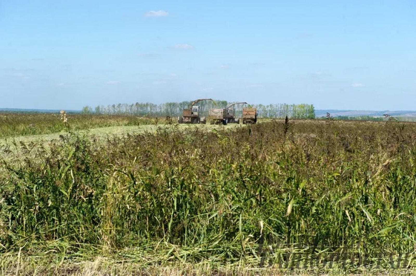 В Башкирии разрешили объединять участки с разными видами использования