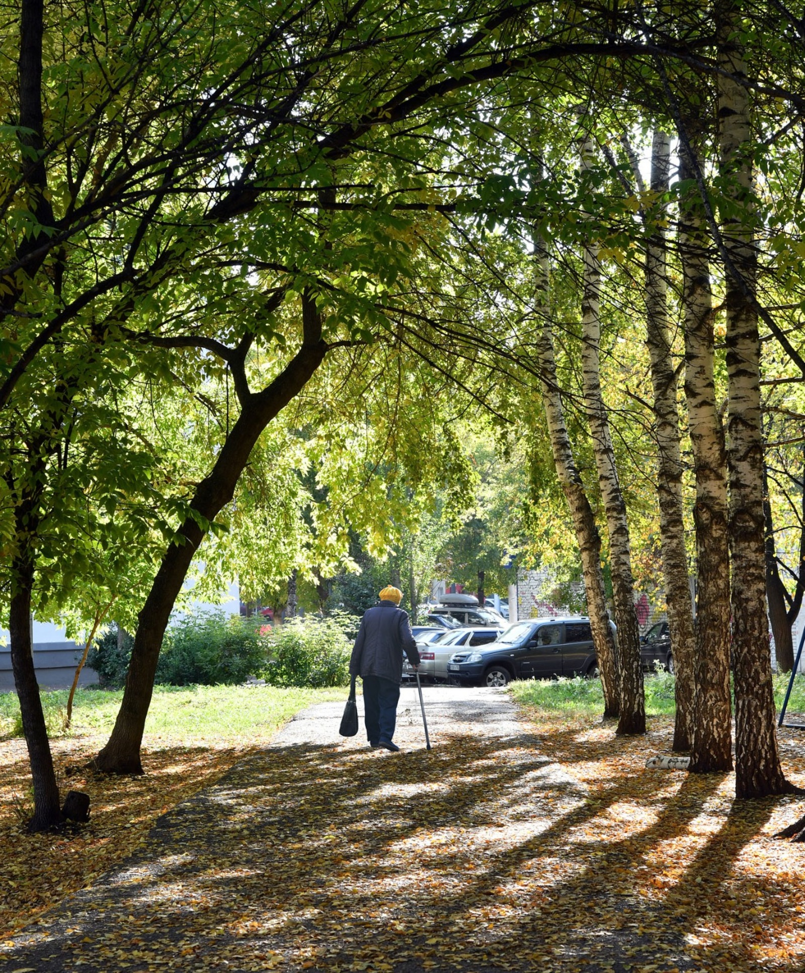 Раиф БАДЫКОВ