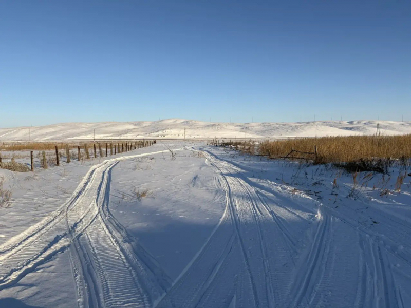 В Башкирии браконьер ради азарта пристрелил косулю