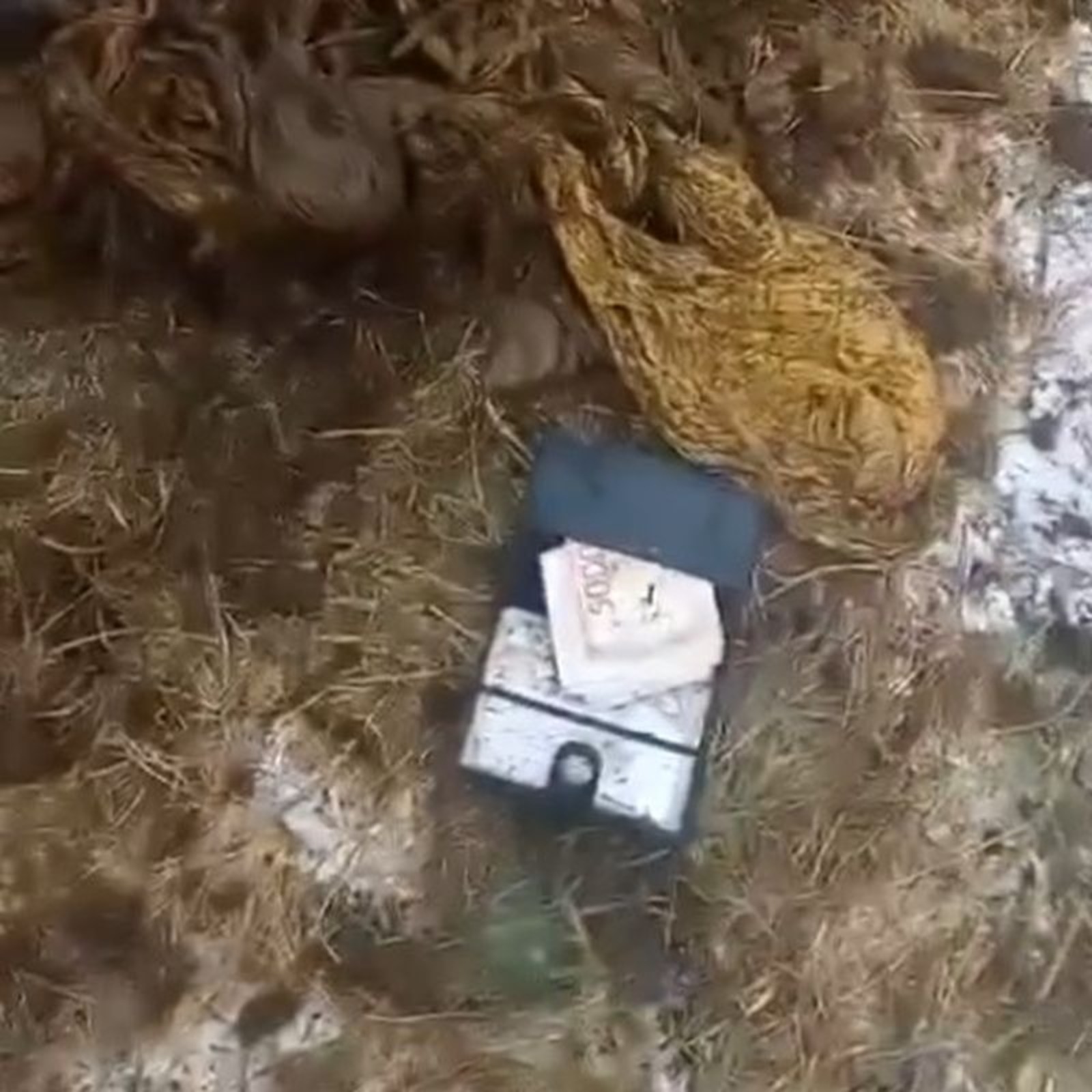 скриншот видео