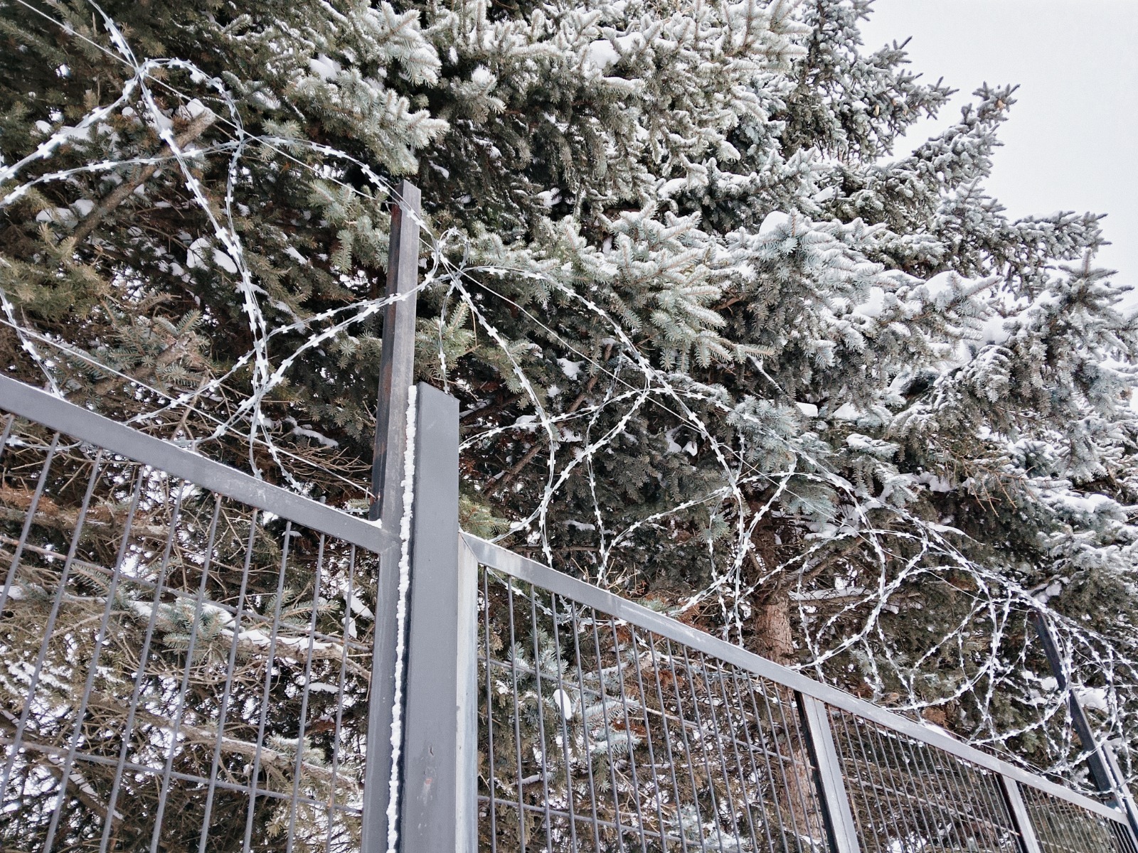 Вадим АНДРЕЕВ