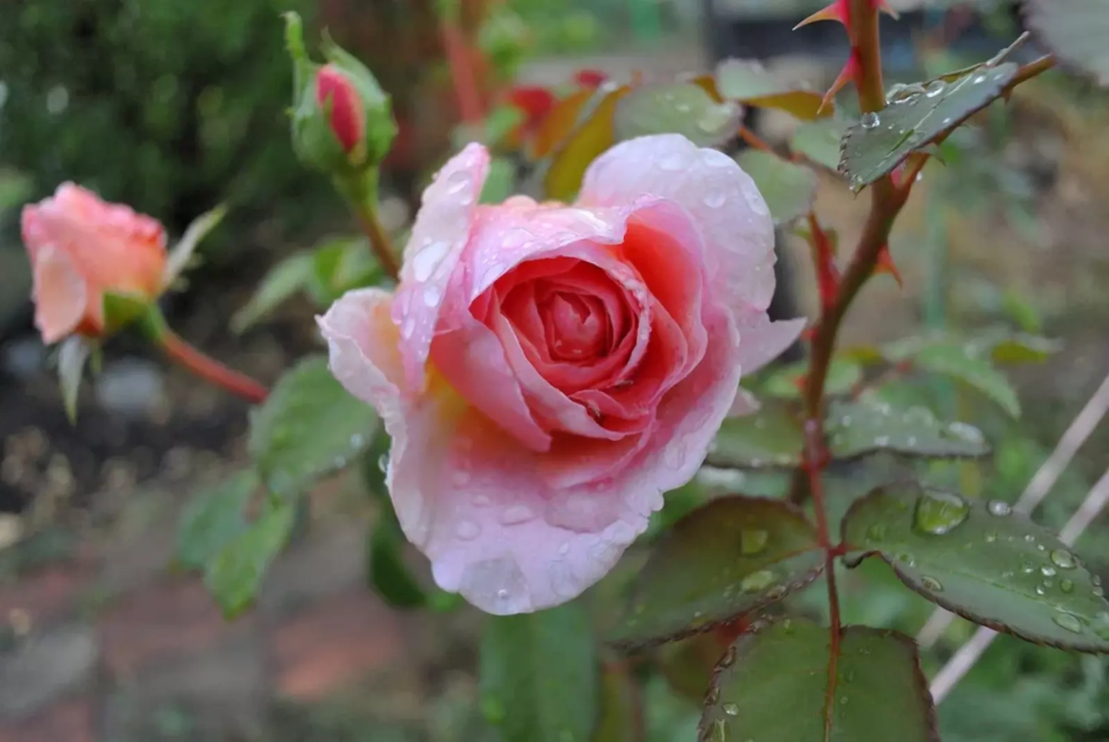 В Башкирии к выходным похолодает