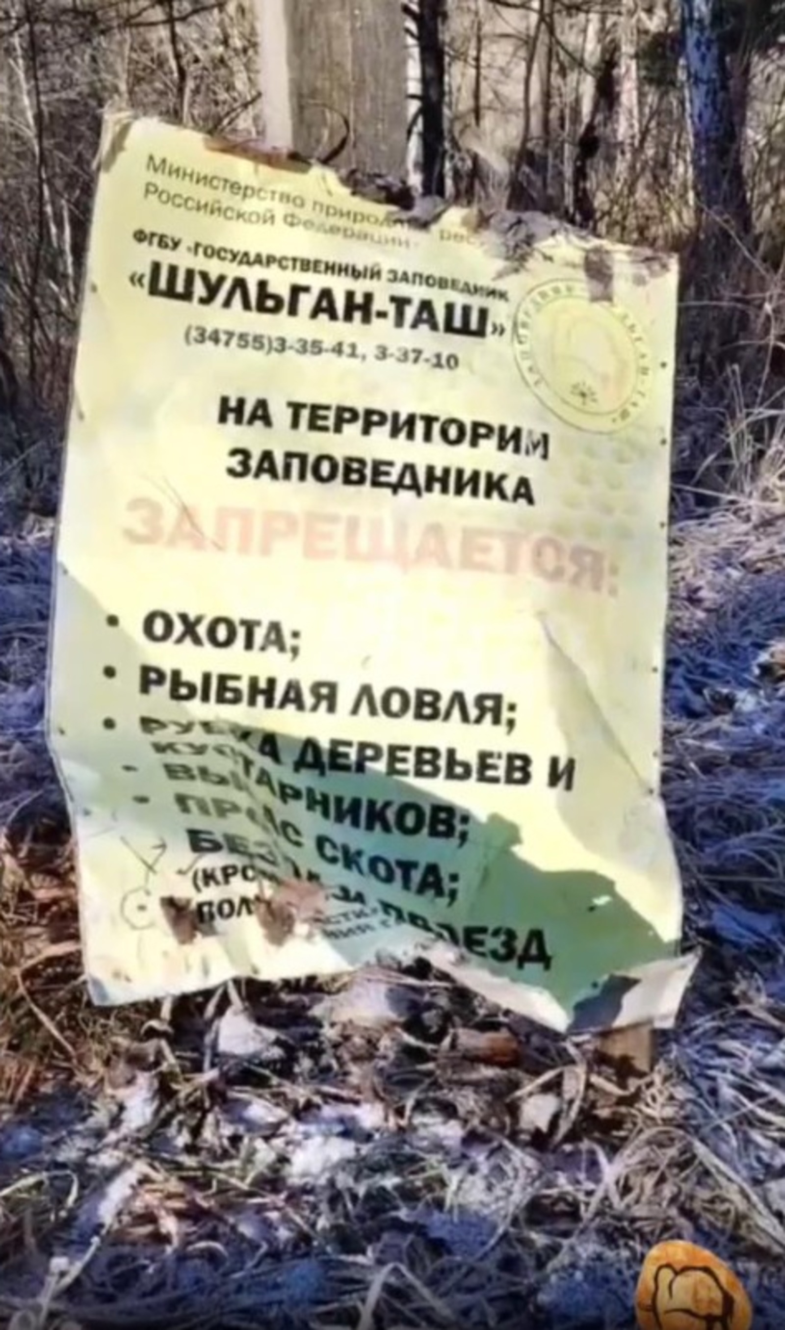 В Башкирии лось снёс аншлаг о запрете охоты в заповеднике