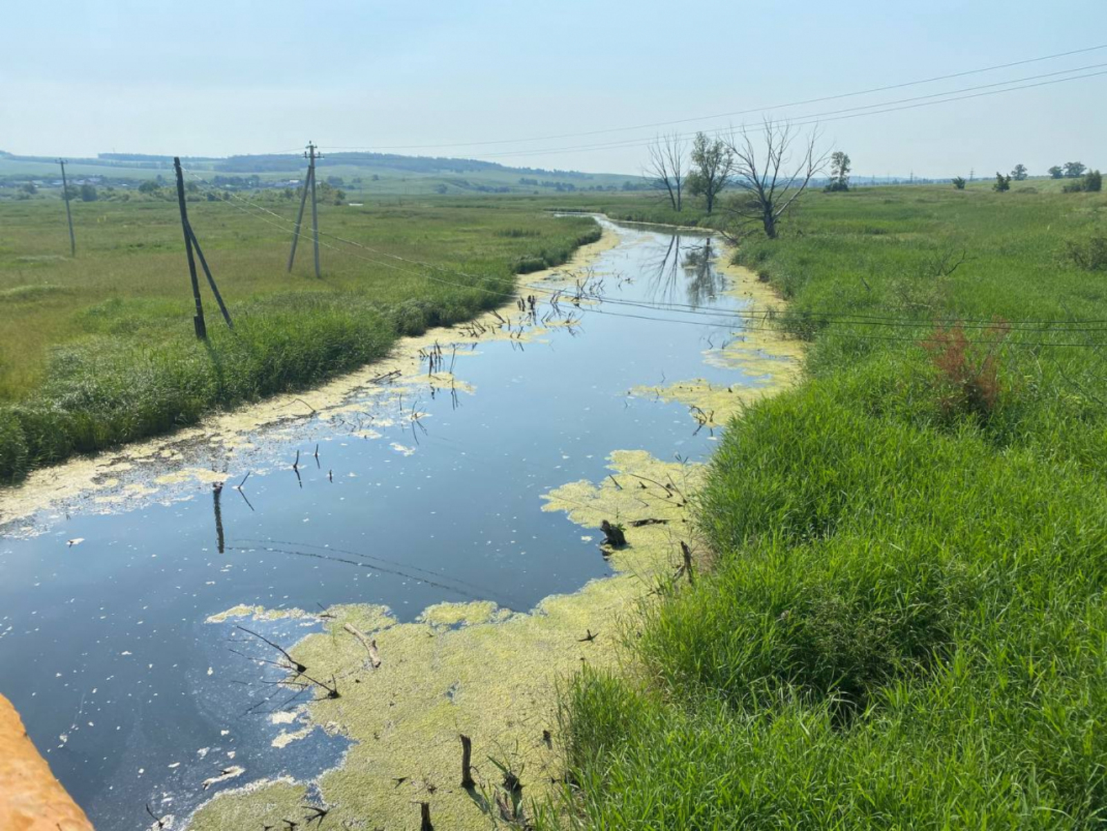 В Башкирии будут судить руководство сельхозпредприятия, виновное в загрязнении реки