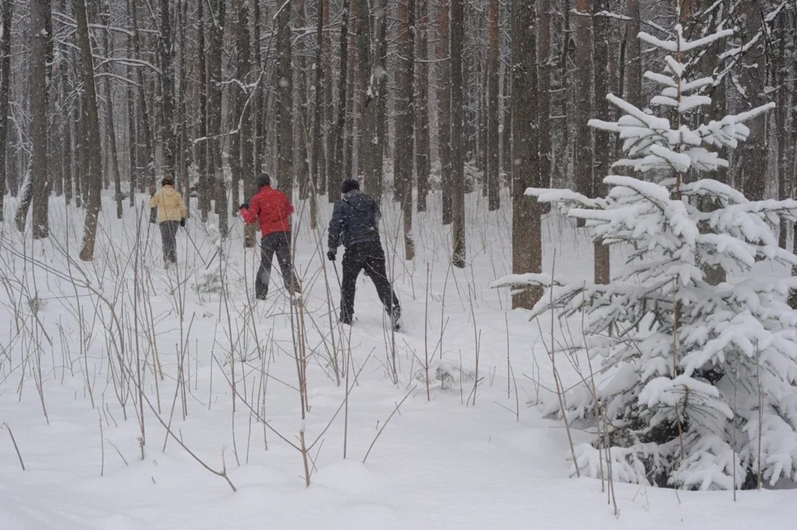 Альберт ЗАГИРОВ.