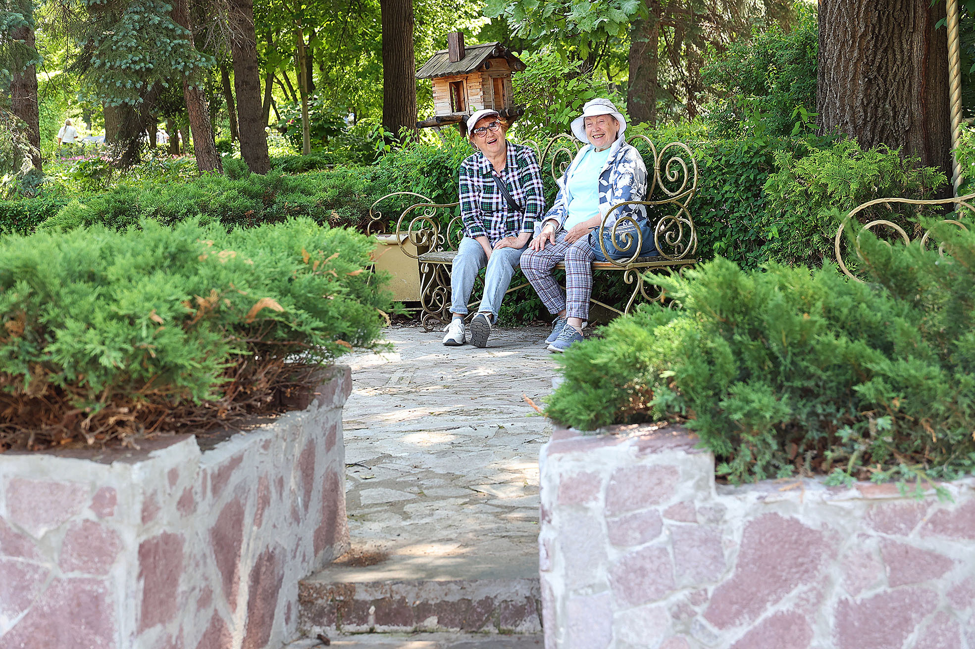 «Чак-чак» найдём в цветнике