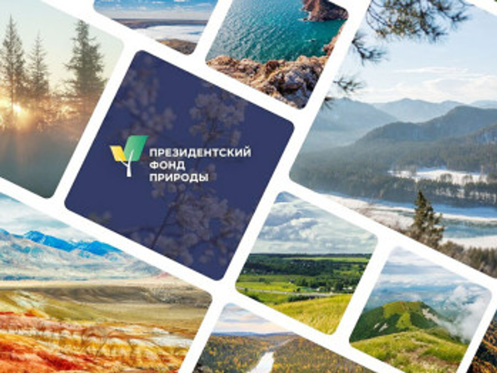 Эколидеры Башкирии стали финалистами конкурса Президентского фонда природы