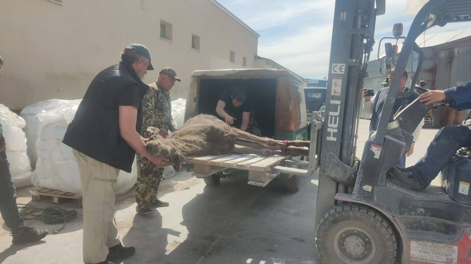 пресс-служба УГЗ Уфы