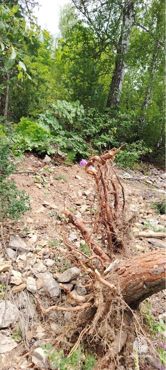 В Башкирии женщина за рулём иномарки разбилась, упав с 70-метровой высоты