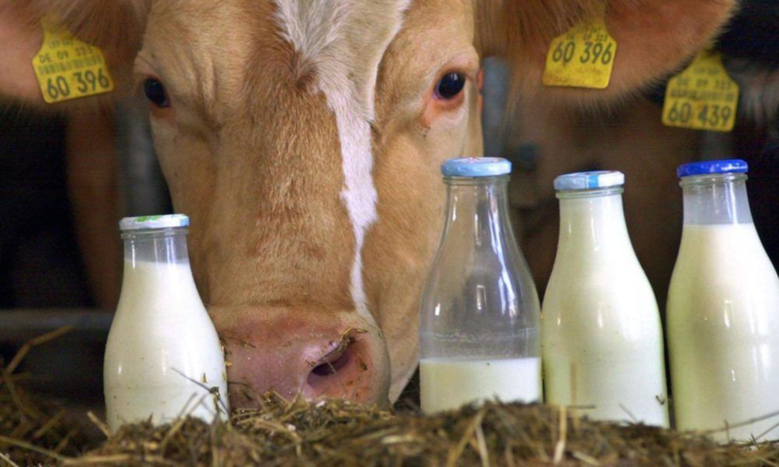 Правительство России перенесло поэкземплярный учет молочной продукции на полтора года