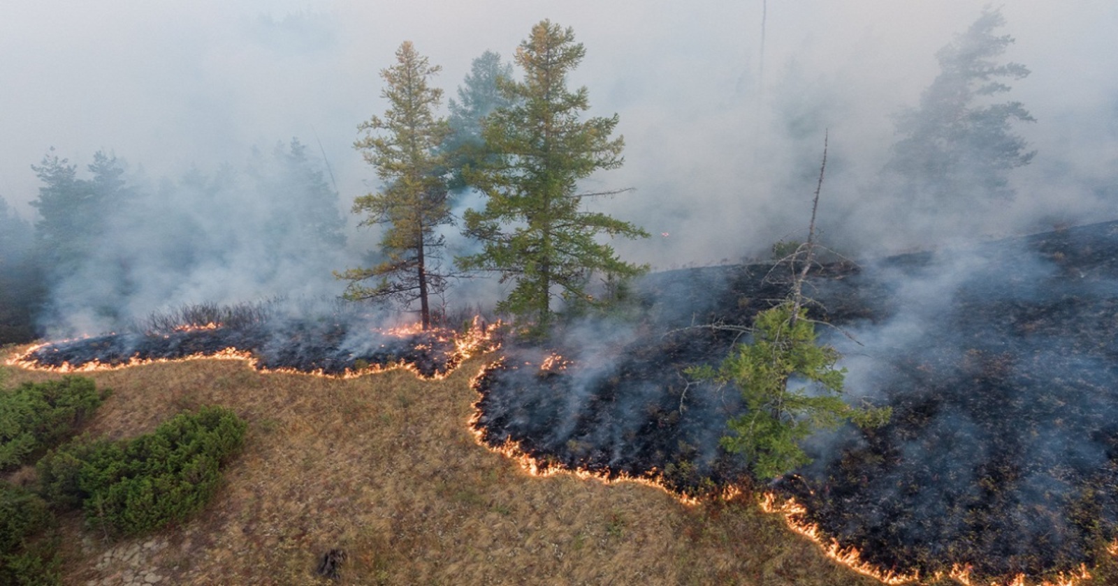 В Абзелиловском районе Башкирии бушует лесной пожар