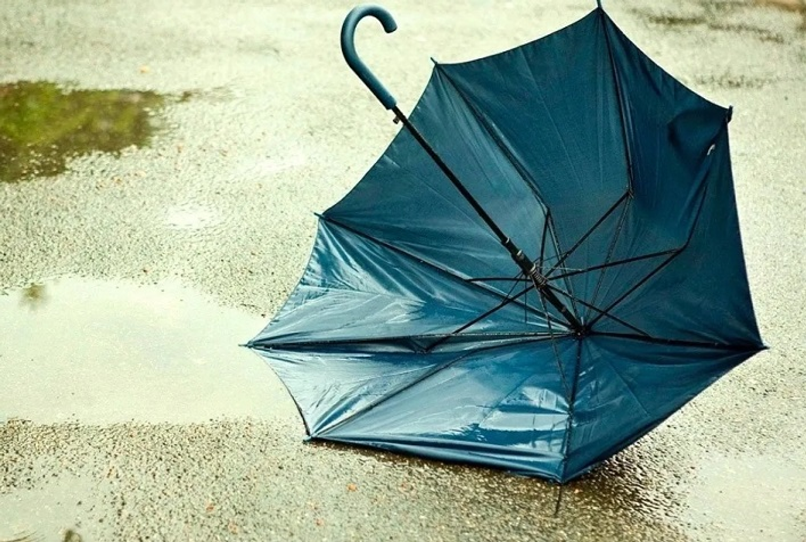 В Уфе сильный ветер валит деревья и заборы