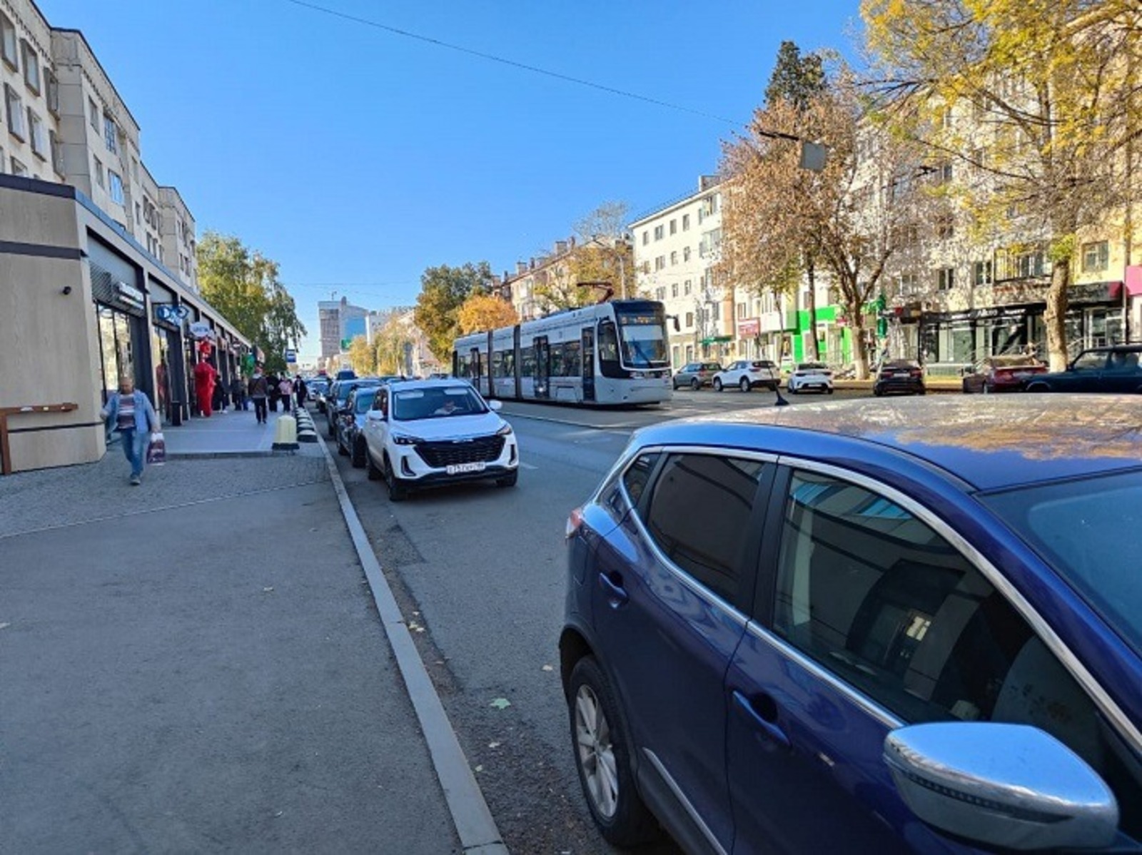 Галина ТРЯСКИНА.