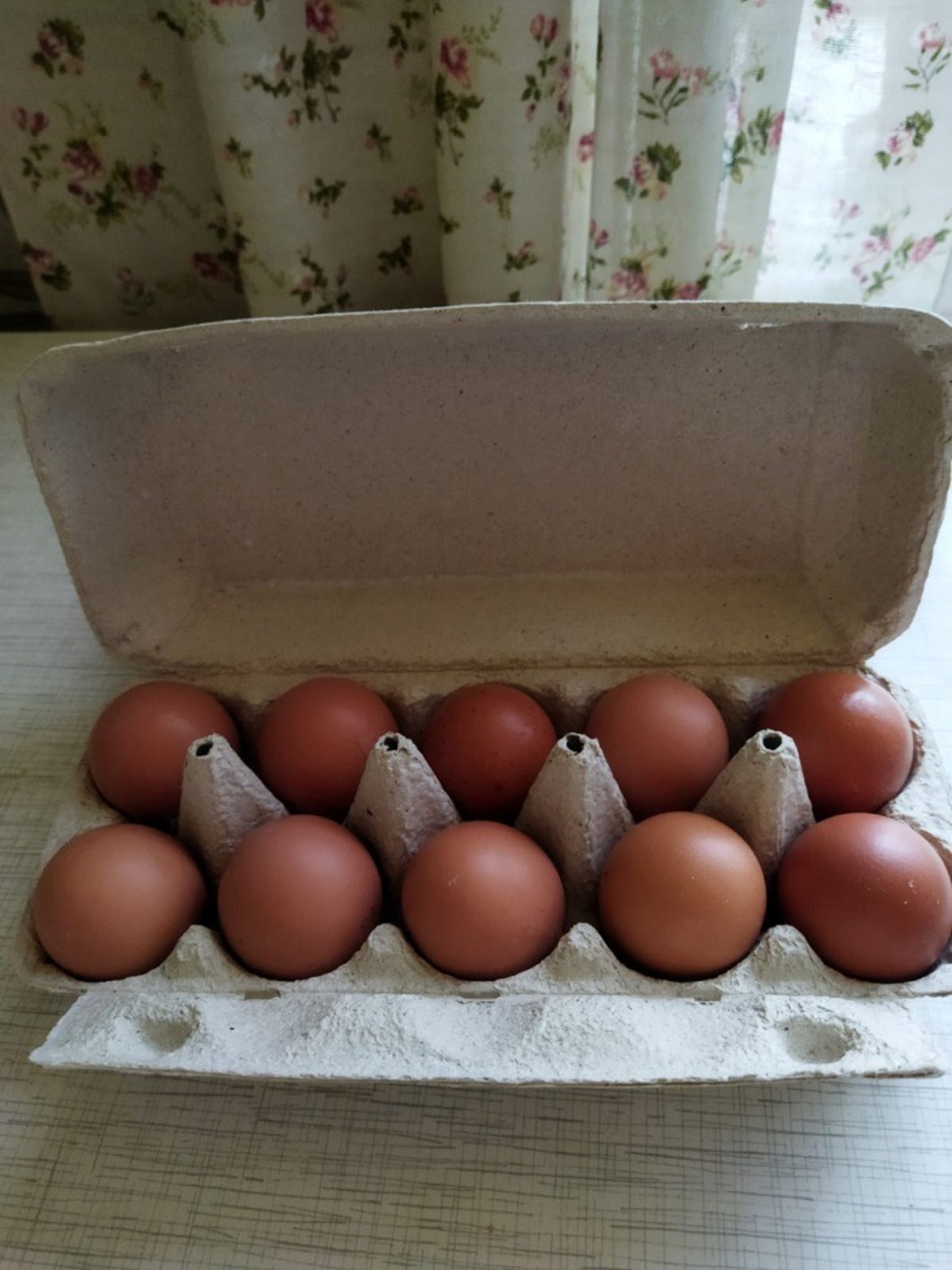 Галина ТРЯСКИНА.