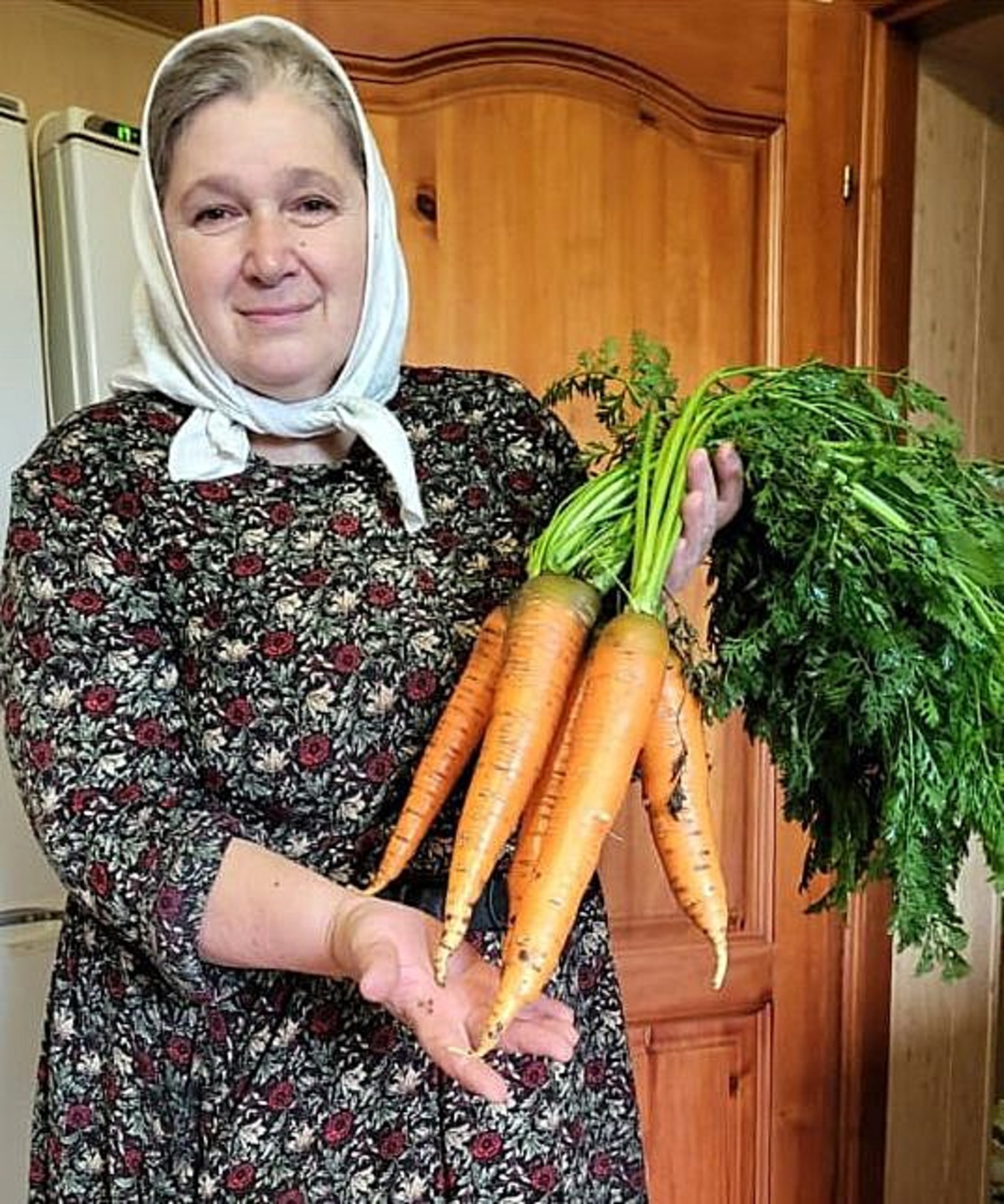 автора Расти, морковь, большая-пребольшая!