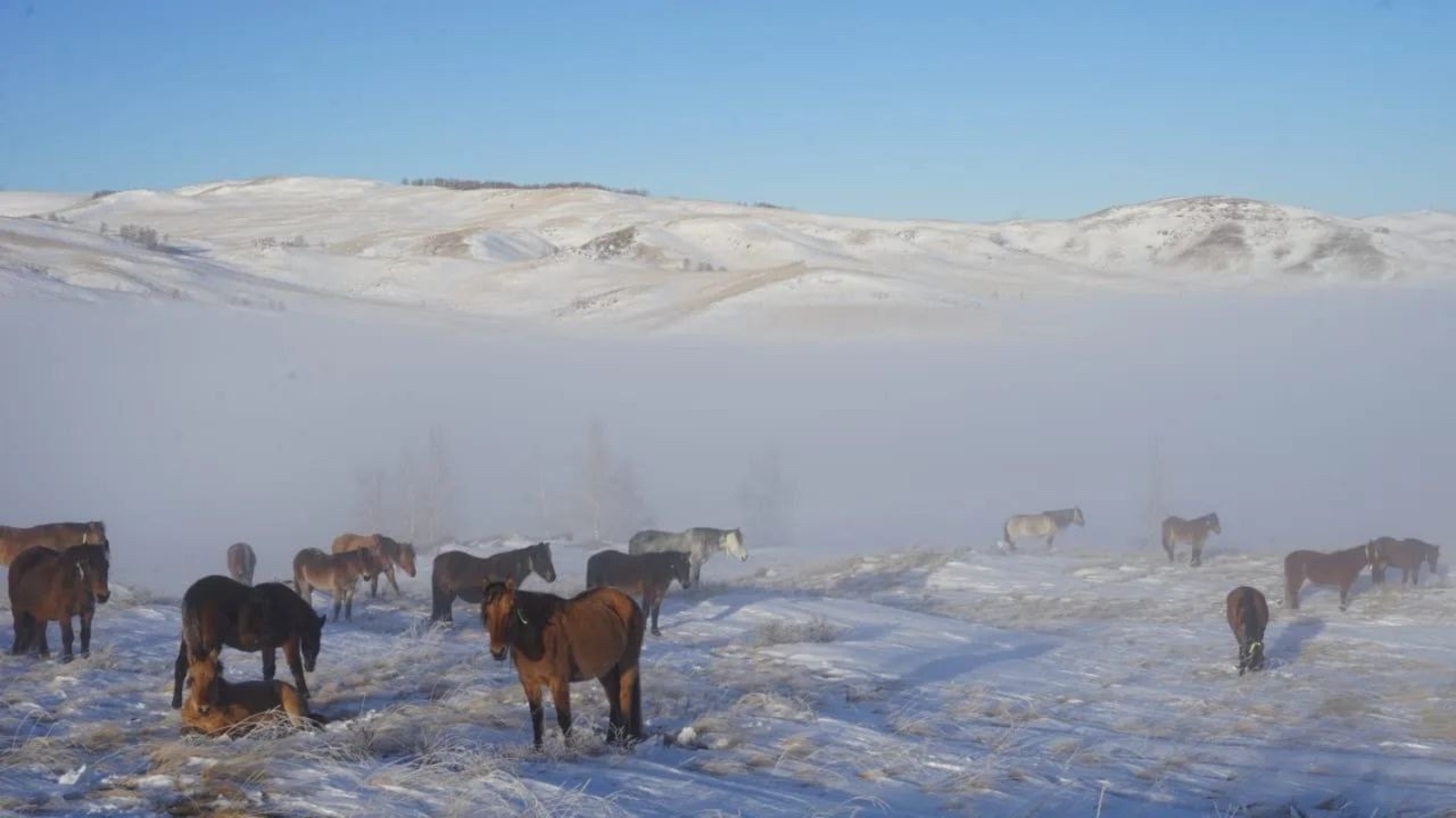 Радий Хабиров поделился тем, от чего не смог сдержать улыбку