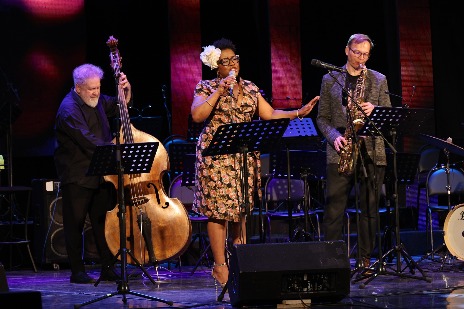 Изгибы «Розовой пантеры»