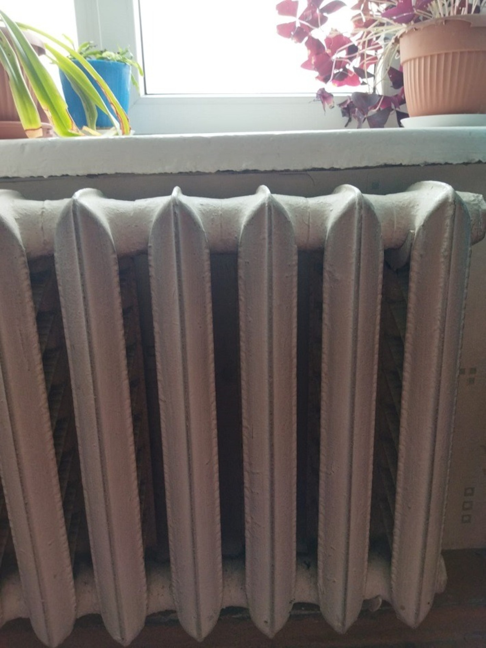 Галина ТРЯСКИНА.