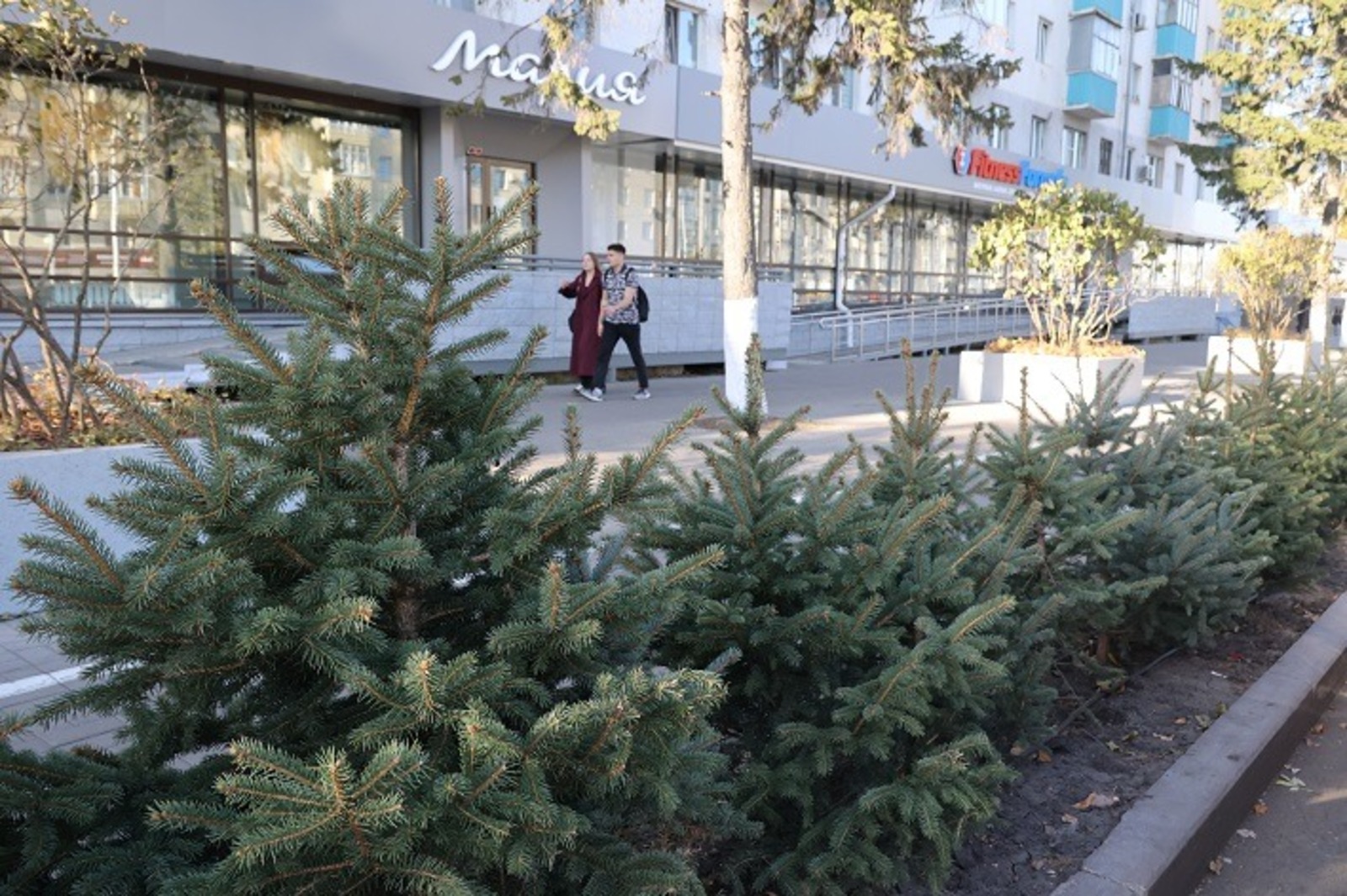 Александр ДАНИЛОВ.