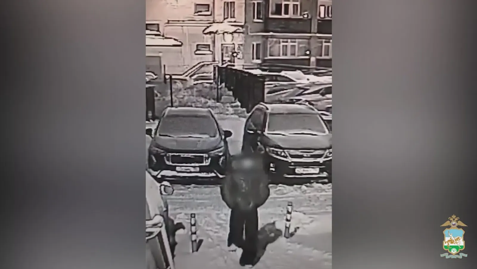 Скриншот видео из материалов МВД по РБ.