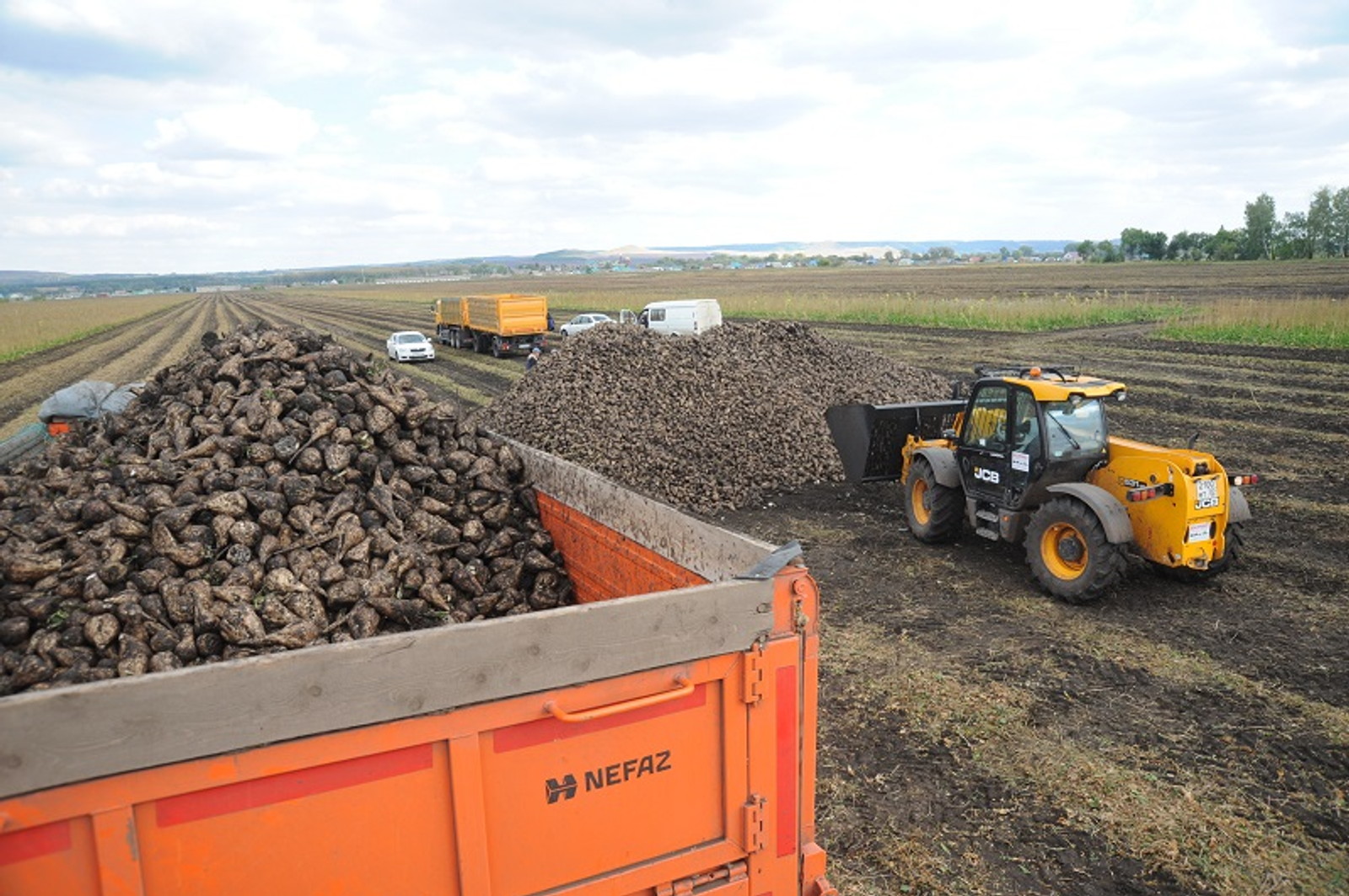 В Башкирии собрали рекордный урожай