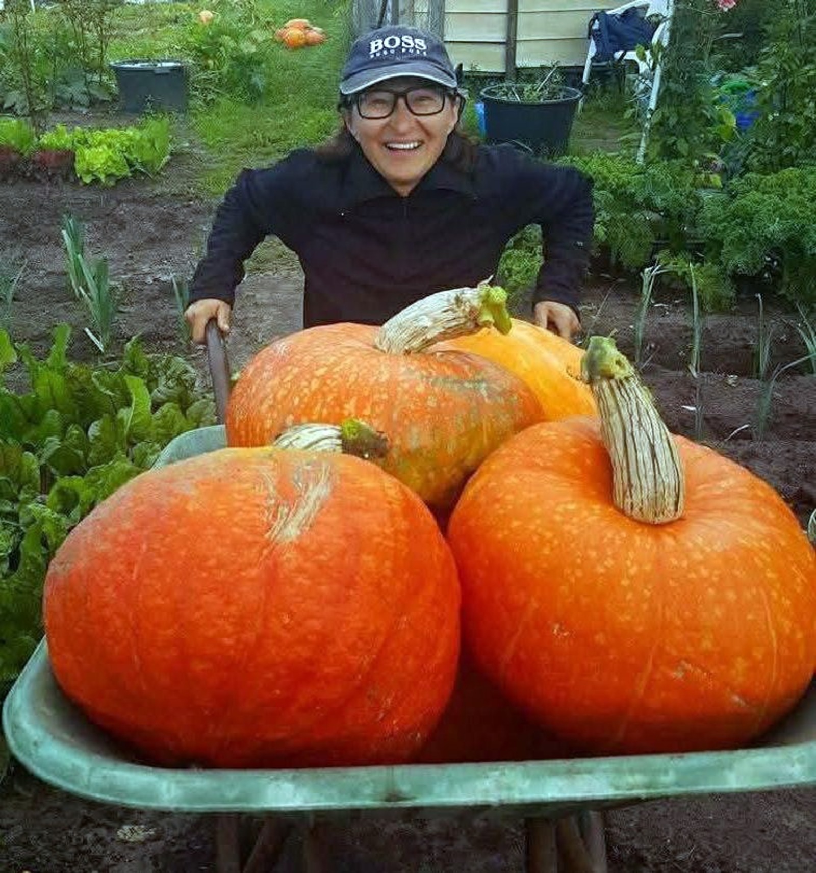 Ирина МИФТАХОВА  Королева полей и на столе королевой окажется.