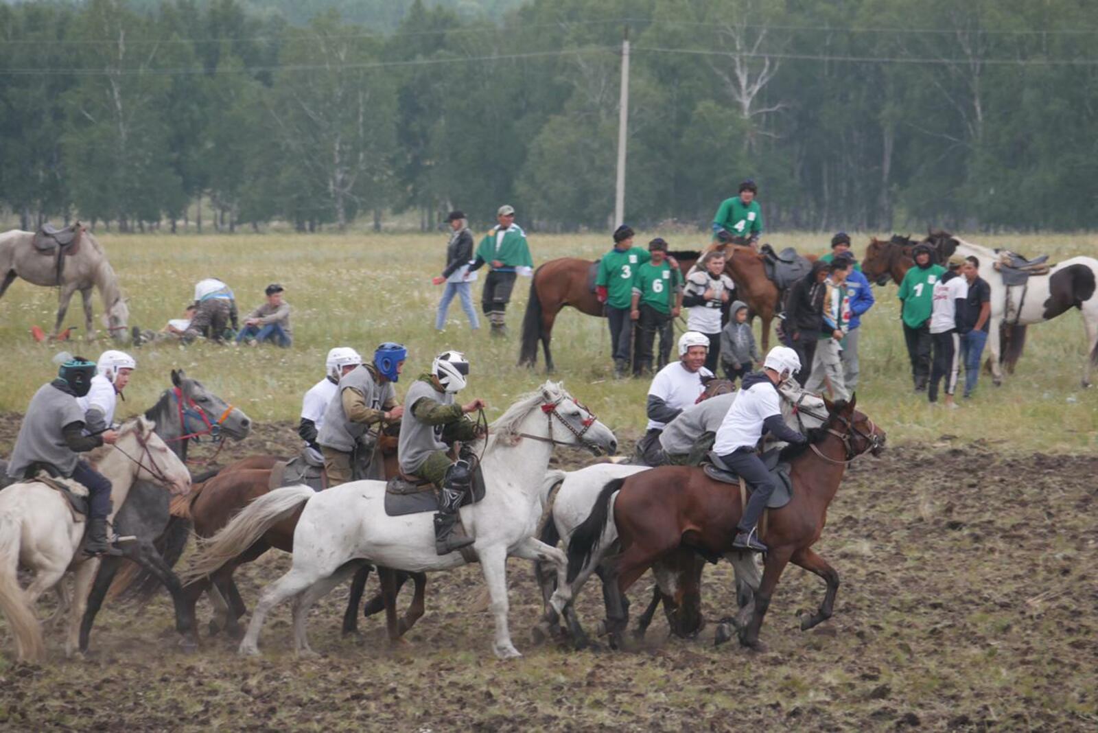 Фестиваль «Башкирская лошадь» открылся игрой среднеазиатских  кочевников «Ылак»