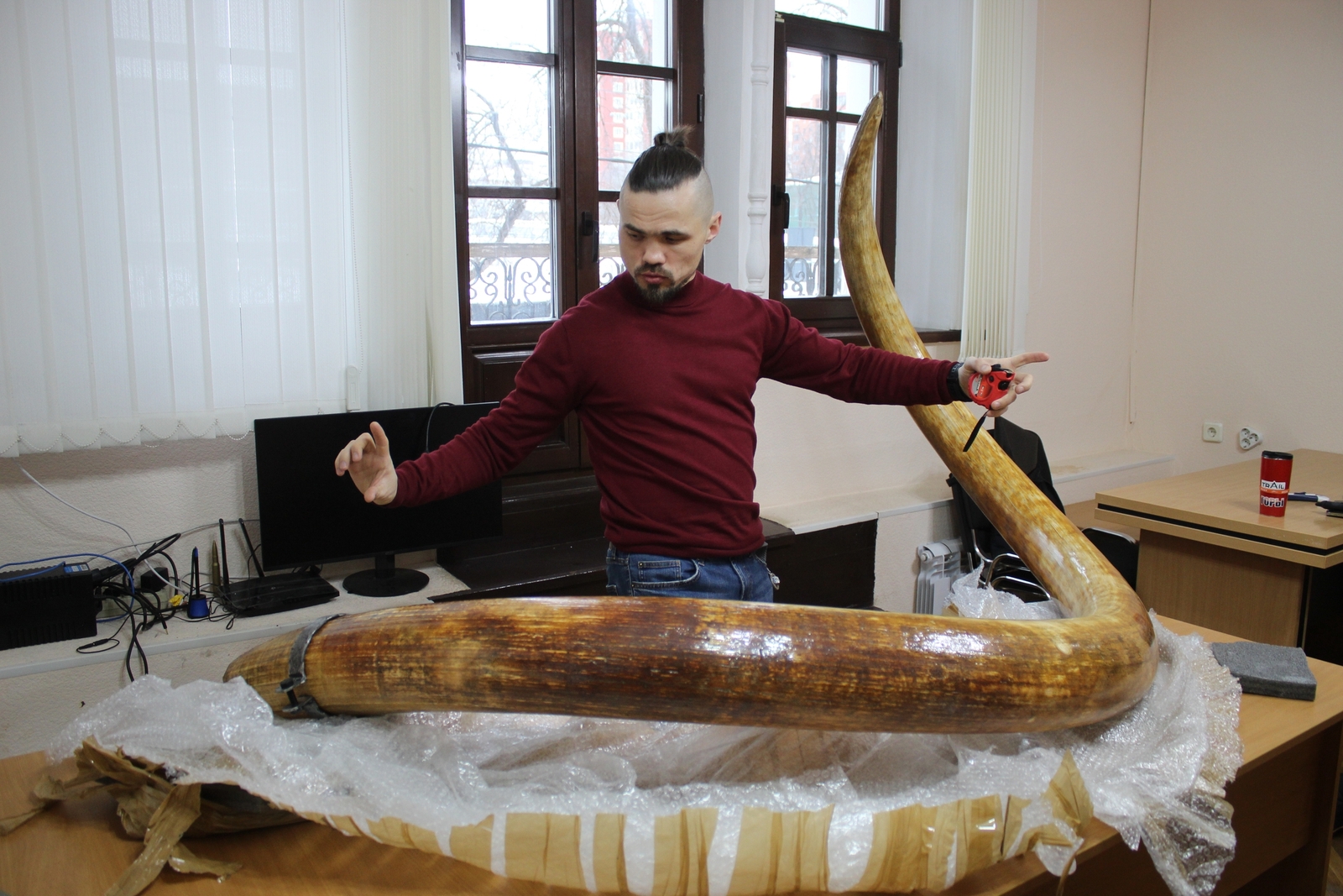 В музей «Шульган-Таш» в Башкирии привезли бивни гигантского мамонта