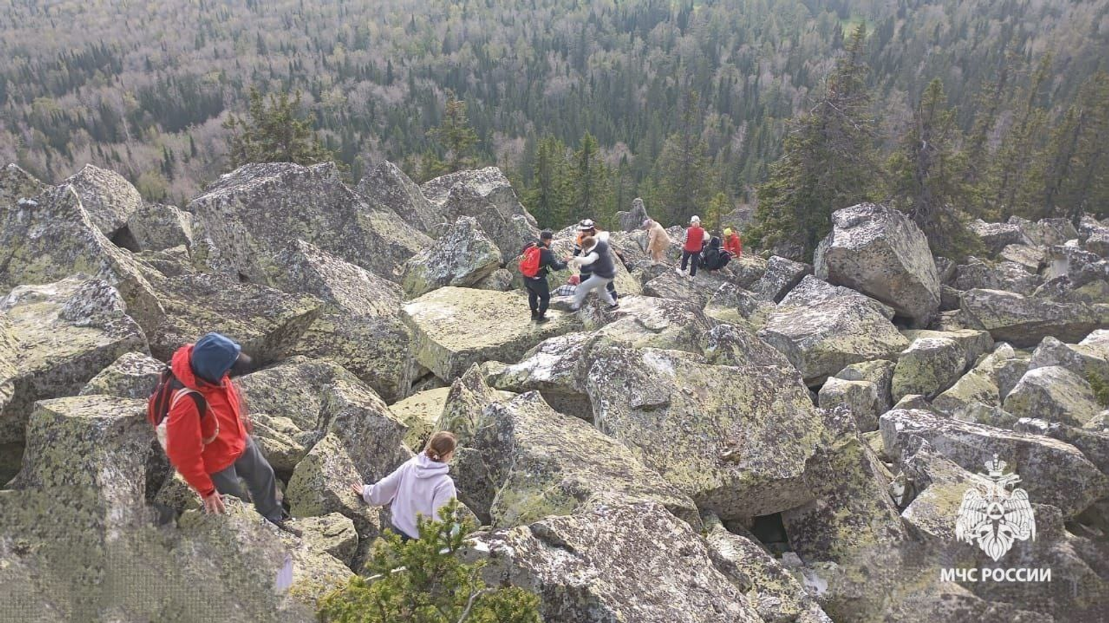 Медведь загнал туристов на гору Малиновую в Башкирии