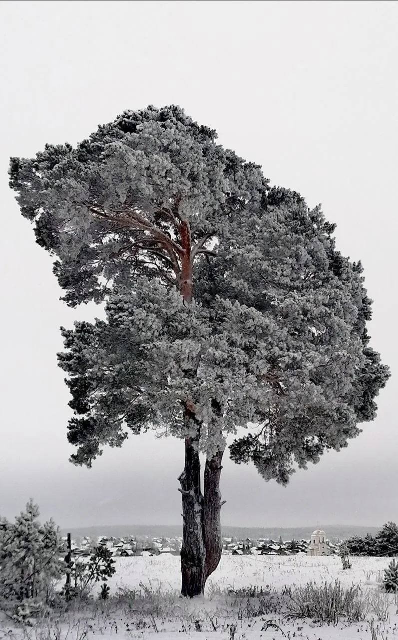 Радий Хабиров/VK