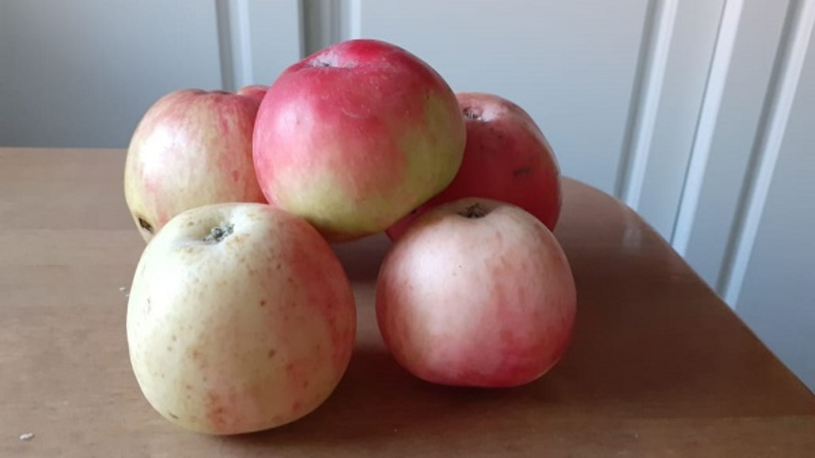 Радий Хабиров: Треть садовых товариществ Башкирии уже получила поддержку