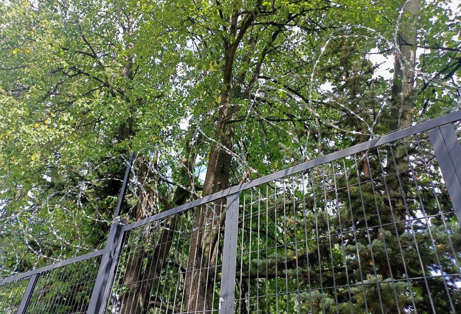 Вадим АНДРЕЕВ