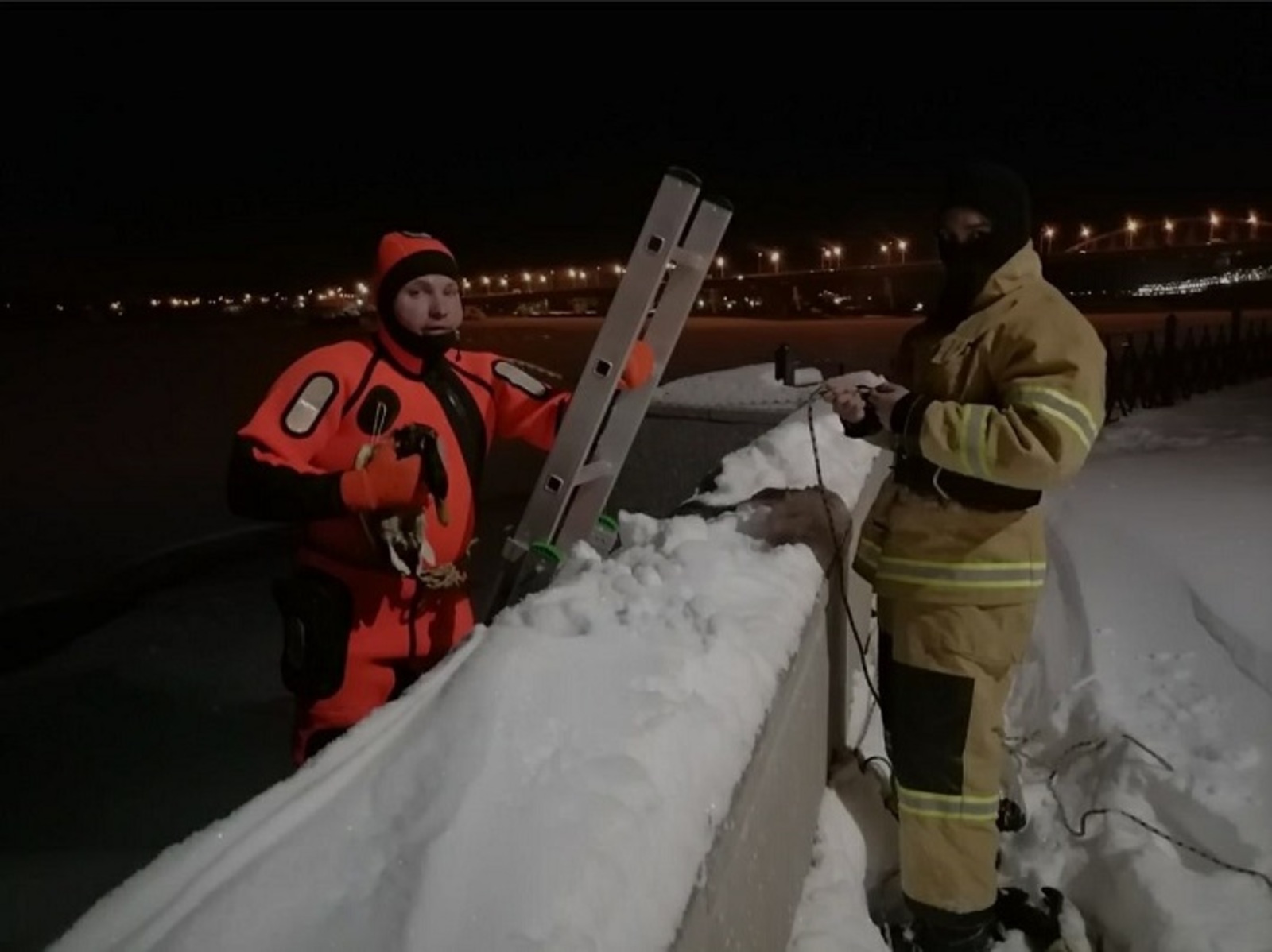 В Уфе спасатели освободили утку, вмёрзшую в лёд