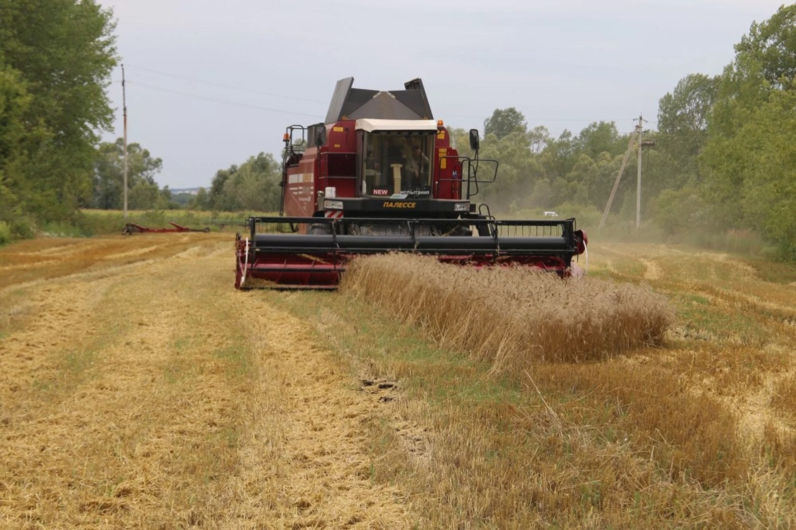 В Башкирии вырос объём производства в малом агробизнесе