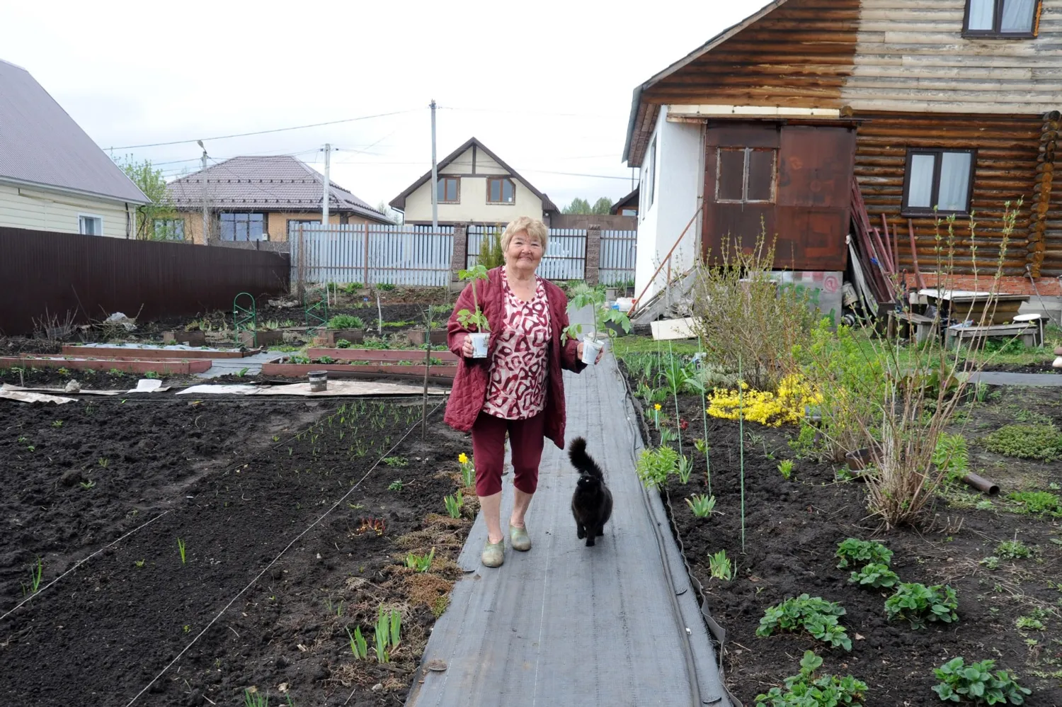 Ринат РАЗАПОВ  У Сажиды Фазыловны любовь к садоводству началась с детства и осталась на всю жизнь.