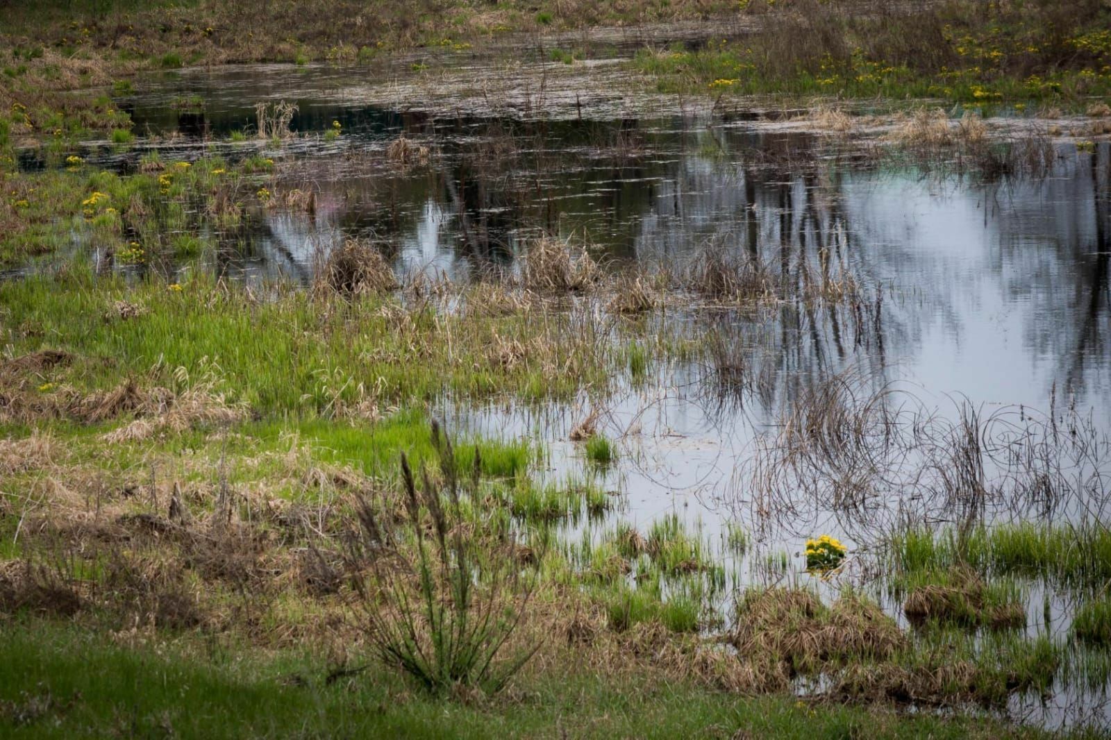 Владимир ПАНФЁРОВ