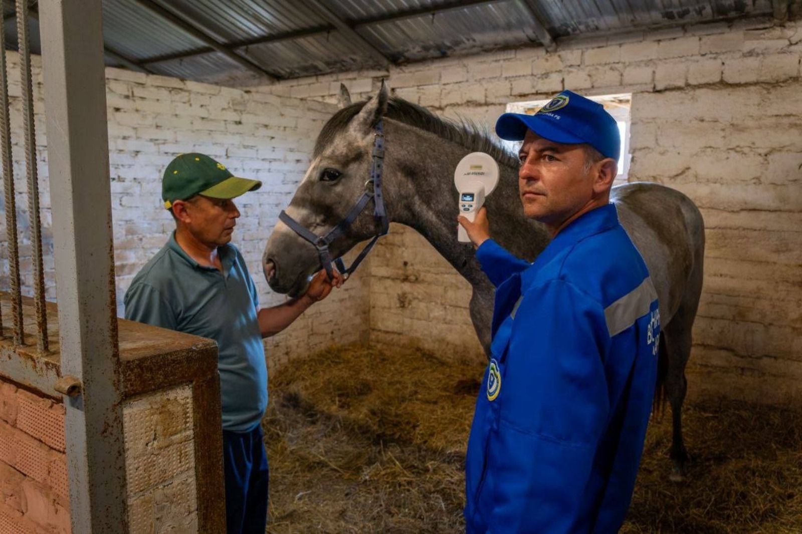соцсети Андрея Назарова.