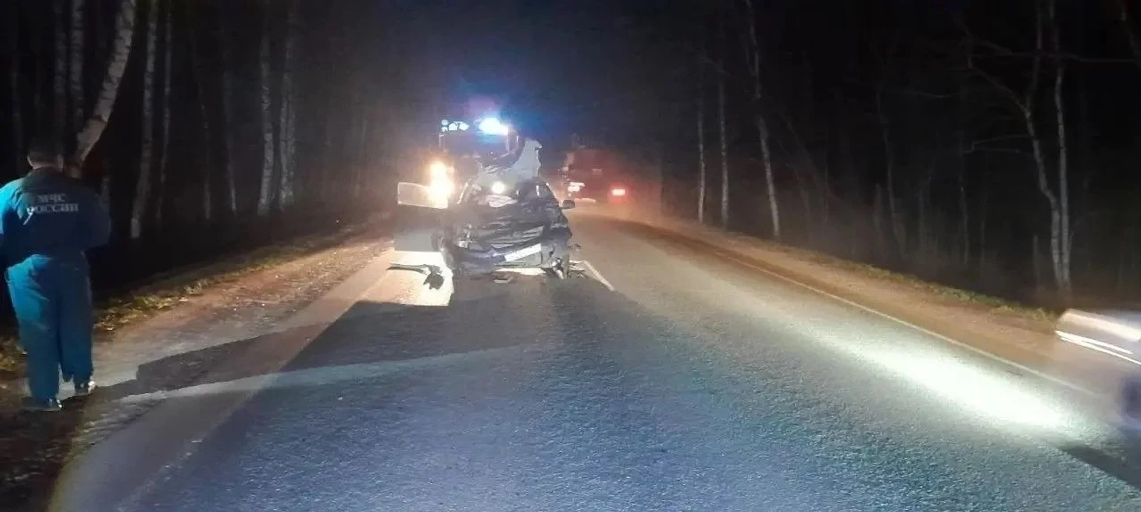 В Башкирии из-за наезда на лося погибла пассажирка легковушки