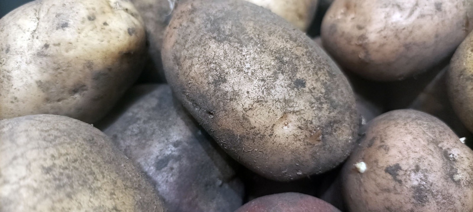 Артур СМОЛОВ