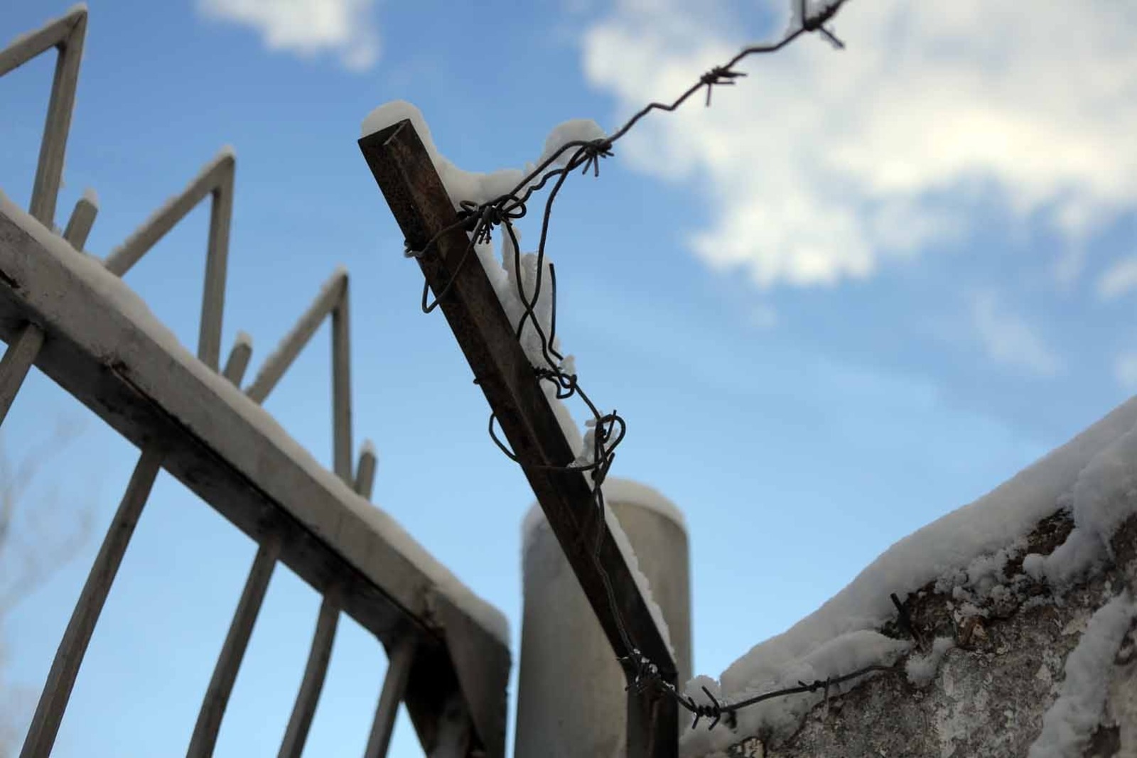 Александр ДАНИЛОВ