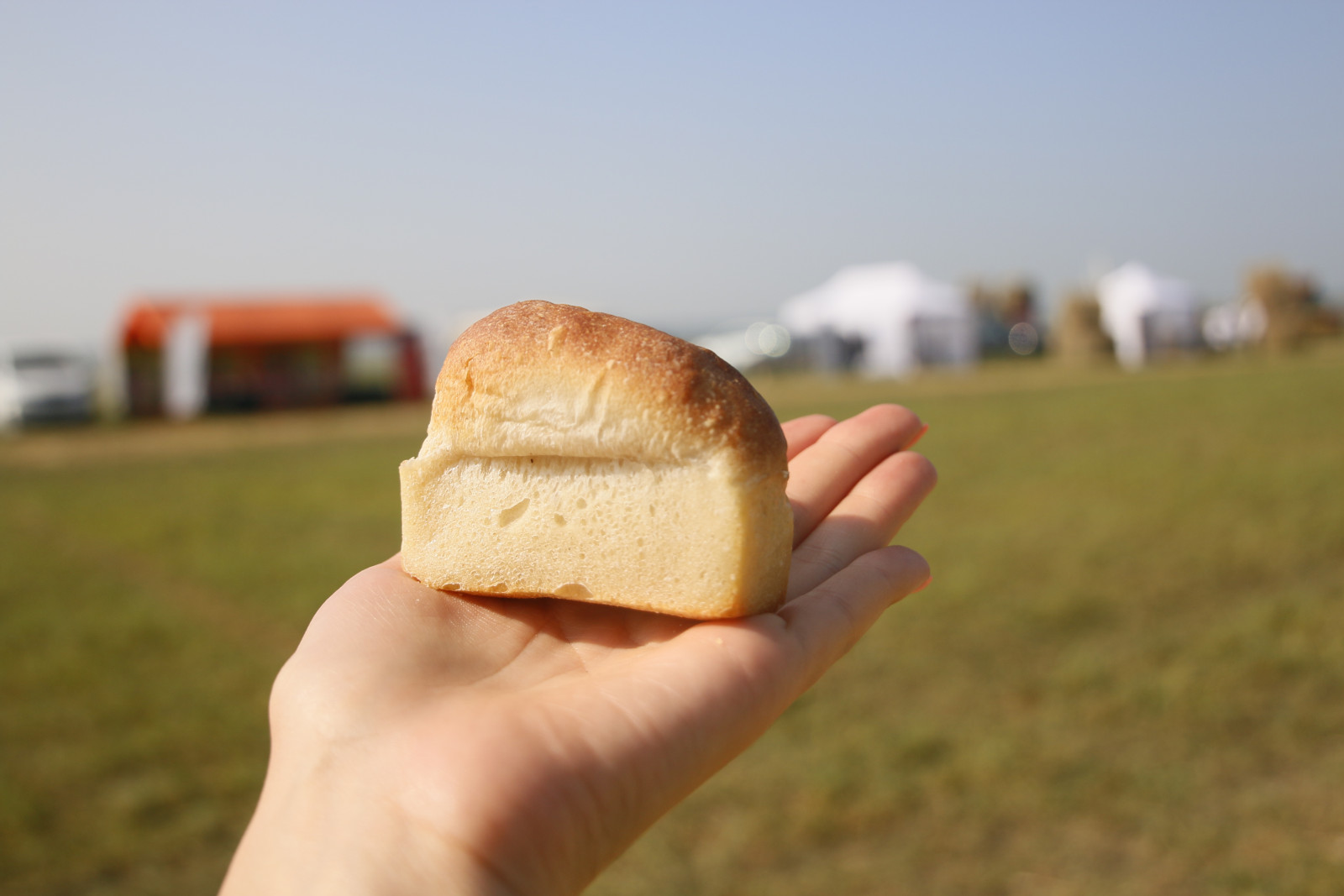 В Башкирии 39 человек выиграли грант «Агростартап»