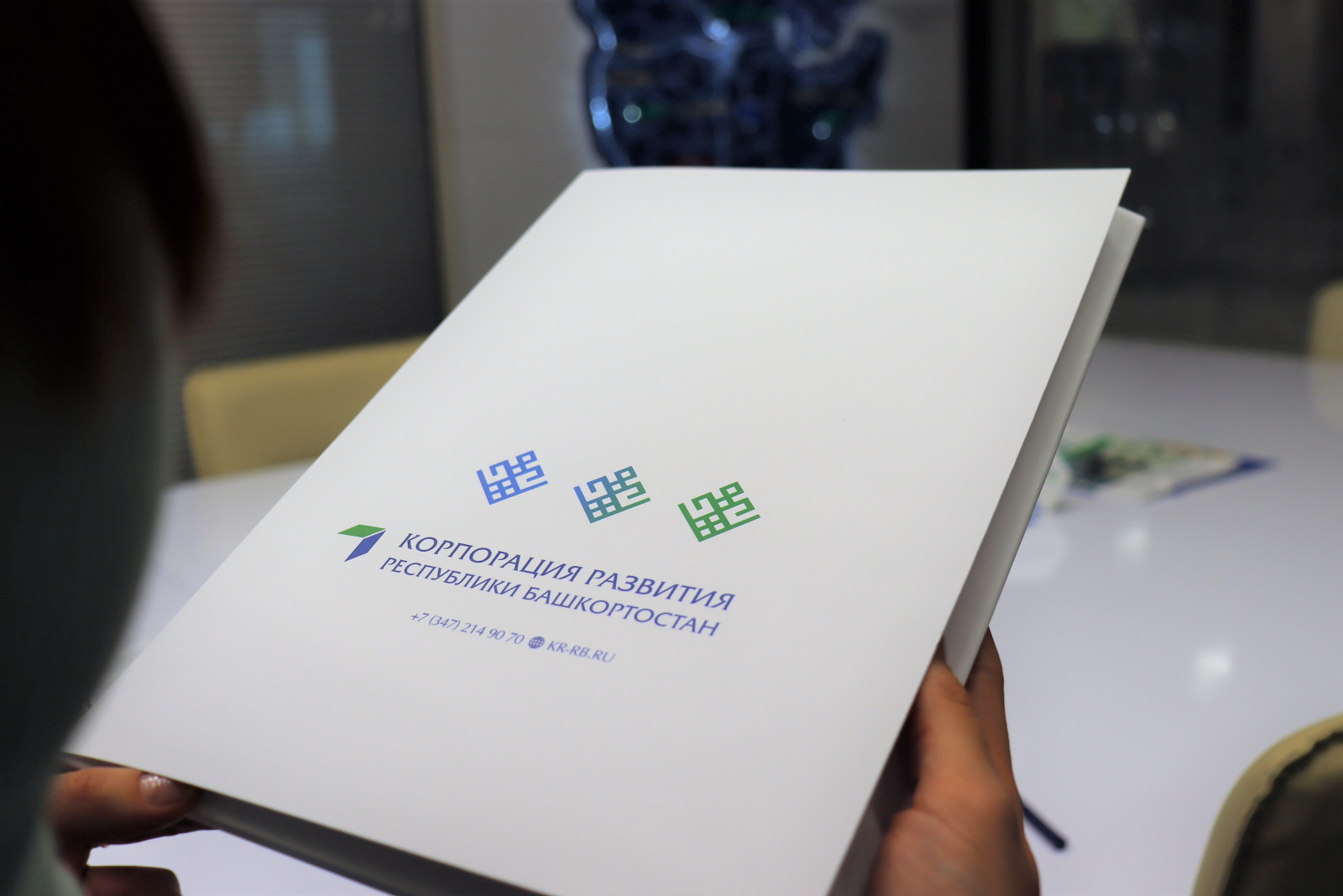 Перечень приоритетных инвестпроектов Башкирии пополнился новыми инициативами