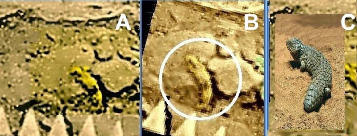 Снимок с поверхности Венеры и визуализация существа по версии Леонида Ксанфомалити.