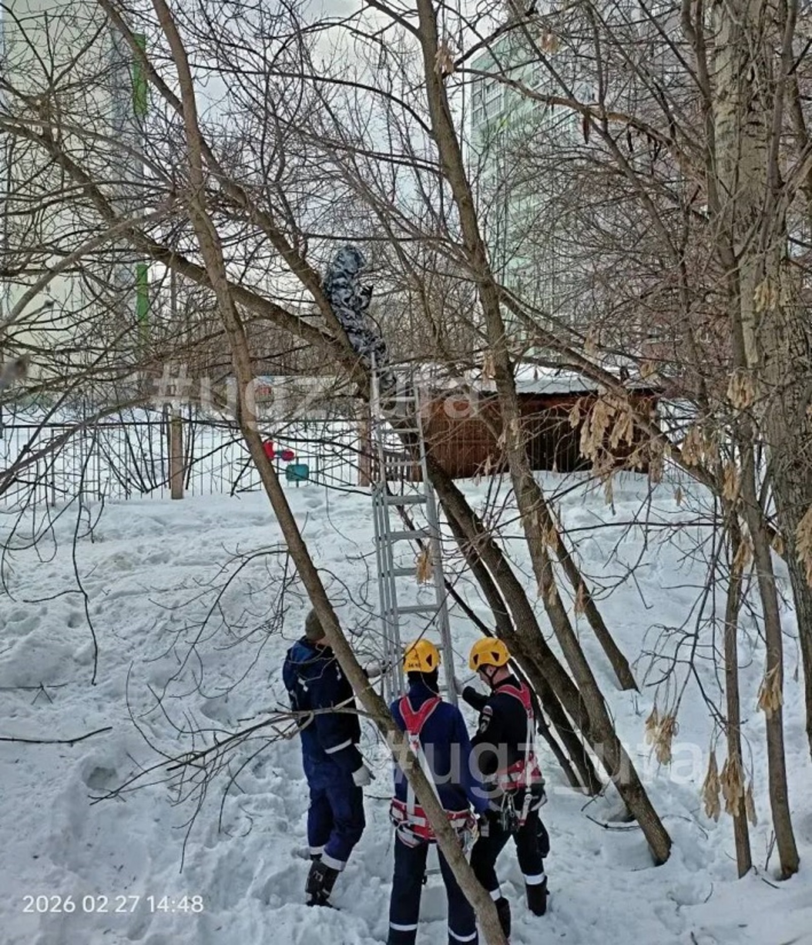 В Уфе с высокого дерева сняли ребёнка