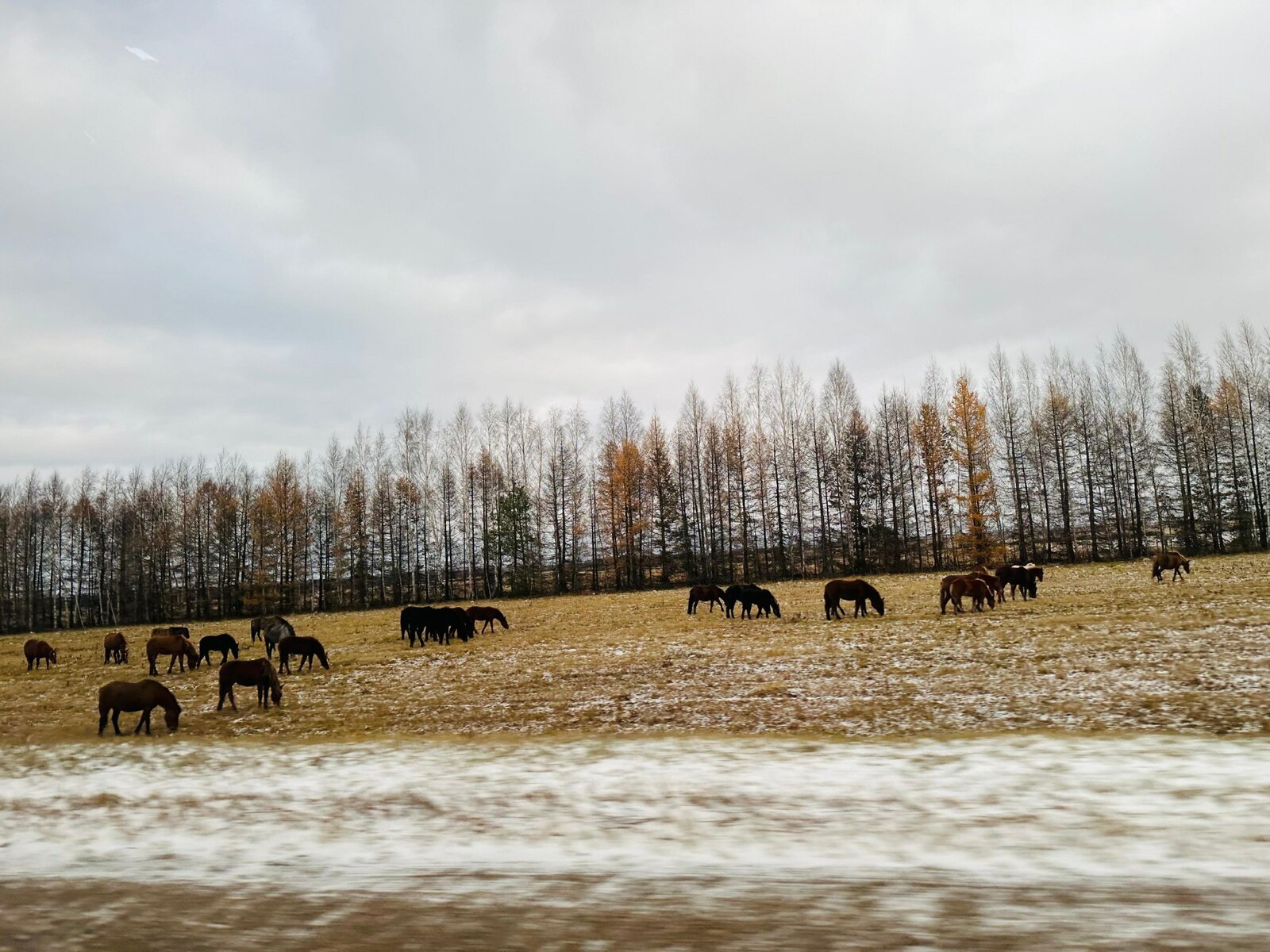 В Башкирии прогнозируют мокрый снег и гололёд