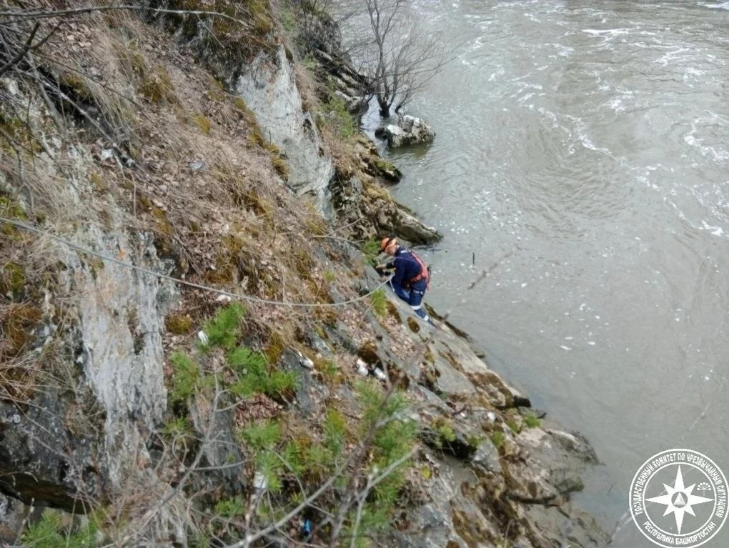 Кирилл Первов рассказал историю спасения щенка со скал в Белорецке. Как в кино