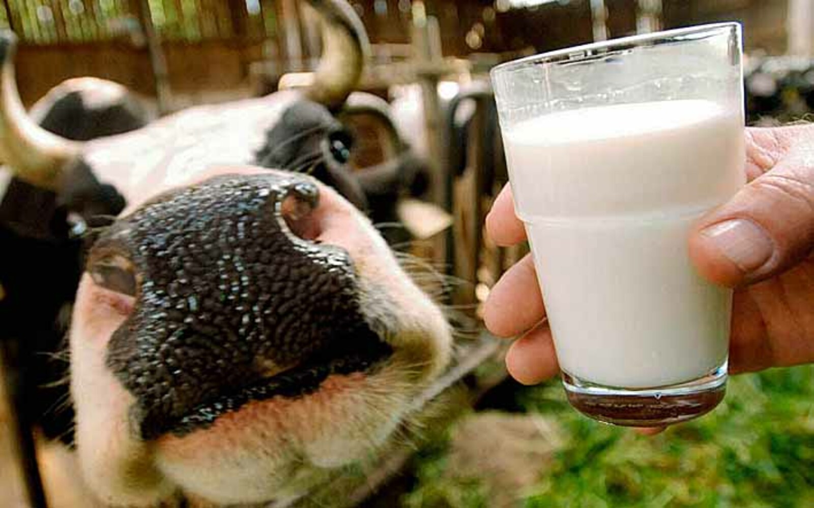 В Башкирии система «Меркурий» помогла выявить просроченную молочную продукцию